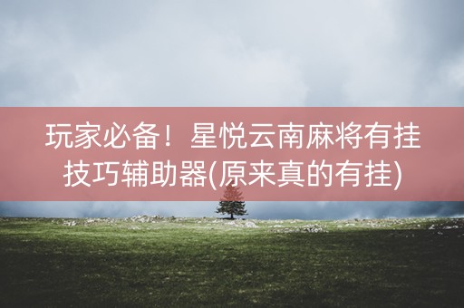 玩家必备！星悦云南麻将有挂技巧辅助器(原来真的有挂)