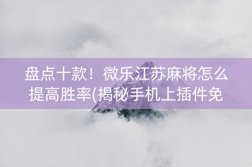 盘点十款！微乐江苏麻将怎么提高胜率(揭秘手机上插件免费)