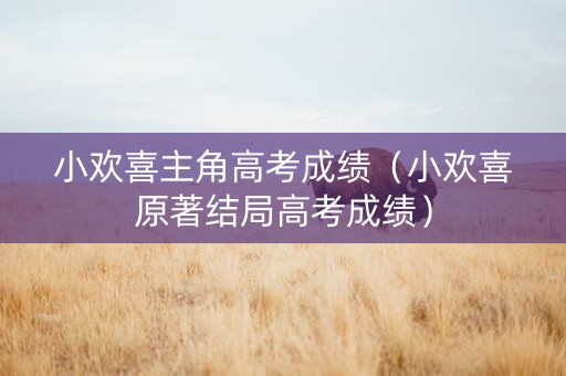 小欢喜主角高考成绩（小欢喜原著结局高考成绩）