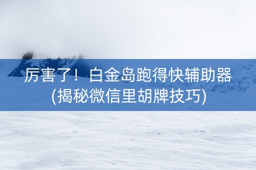 厉害了！白金岛跑得快辅助器(揭秘微信里胡牌技巧)