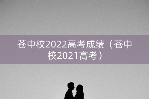 苍中校2022高考成绩（苍中校2021高考）
