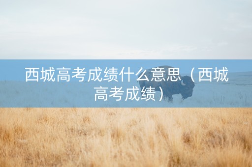 西城高考成绩什么意思（西城 高考成绩）