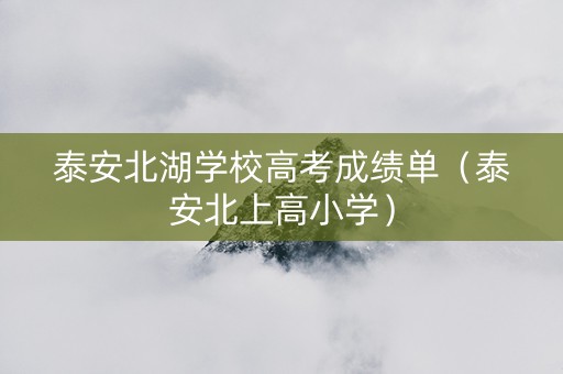 泰安北湖学校高考成绩单（泰安北上高小学）
