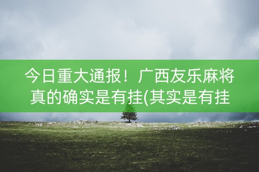 今日重大通报！广西友乐麻将真的确实是有挂(其实是有挂的)