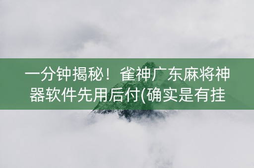 一分钟揭秘！雀神广东麻将神器软件先用后付(确实是有挂的)
