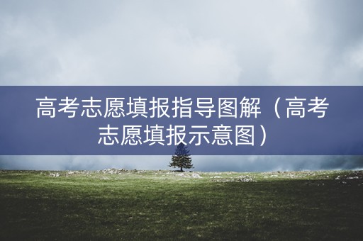 高考志愿填报指导图解（高考志愿填报示意图）