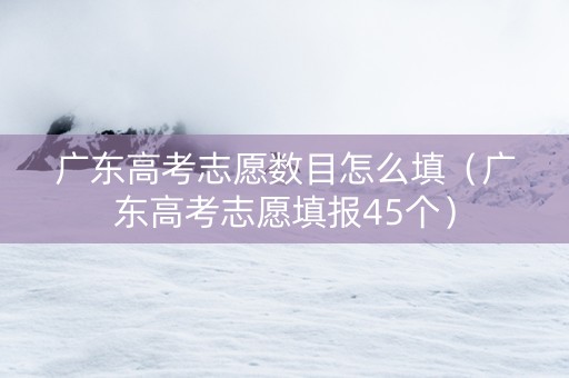 广东高考志愿数目怎么填（广东高考志愿填报45个）