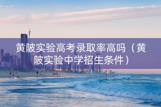 黄陂实验高考录取率高吗（黄陂实验中学招生条件）