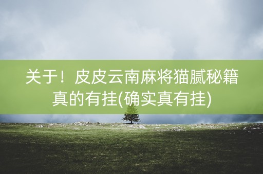 关于！皮皮云南麻将猫腻秘籍真的有挂(确实真有挂)