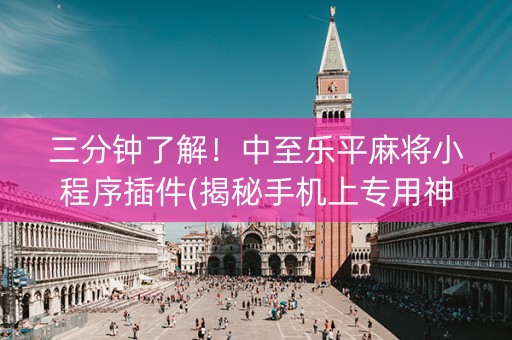 三分钟了解！中至乐平麻将小程序插件(揭秘手机上专用神器)