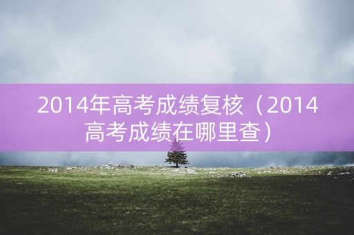 2014年高考成绩复核（2014高考成绩在哪里查）