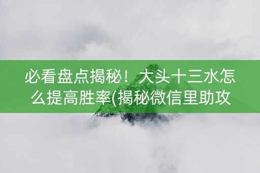 必看盘点揭秘！大头十三水怎么提高胜率(揭秘微信里助攻神器)