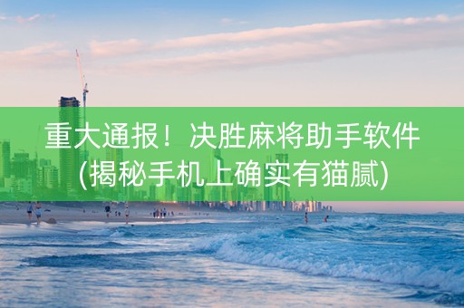 重大通报！决胜麻将助手软件(揭秘手机上确实有猫腻)