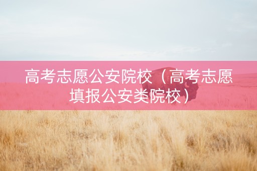高考志愿公安院校（高考志愿填报公安类院校）