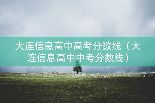 大连信息高中高考分数线（大连信息高中中考分数线）