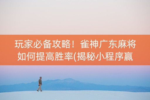 玩家必备攻略！雀神广东麻将如何提高胜率(揭秘小程序赢牌技巧)