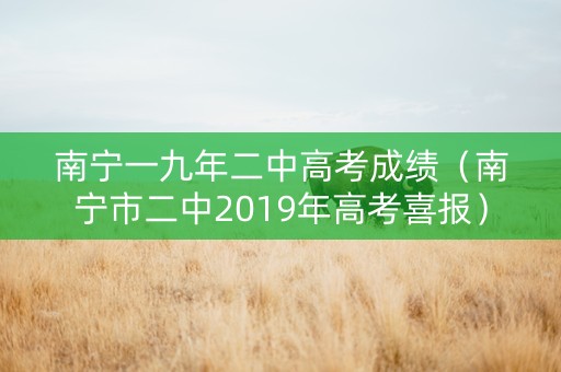 南宁一九年二中高考成绩（南宁市二中2019年高考喜报）