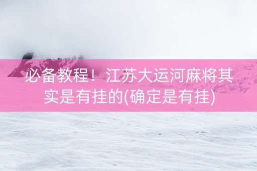 必备教程！江苏大运河麻将其实是有挂的(确定是有挂)