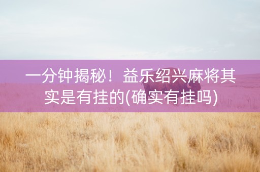 一分钟揭秘！益乐绍兴麻将其实是有挂的(确实有挂吗)