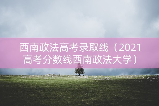 西南政法高考录取线（2021高考分数线西南政法大学）
