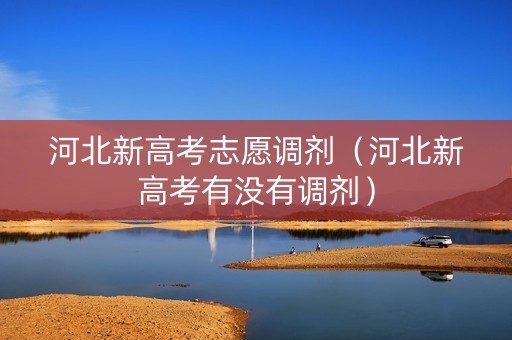 河北新高考志愿调剂（河北新高考有没有调剂）