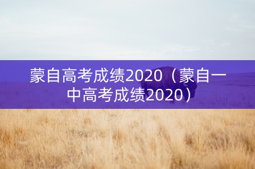 蒙自高考成绩2020（蒙自一中高考成绩2020）
