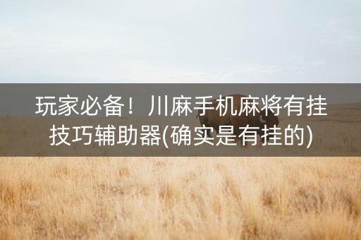 玩家必备！川麻手机麻将有挂技巧辅助器(确实是有挂的)