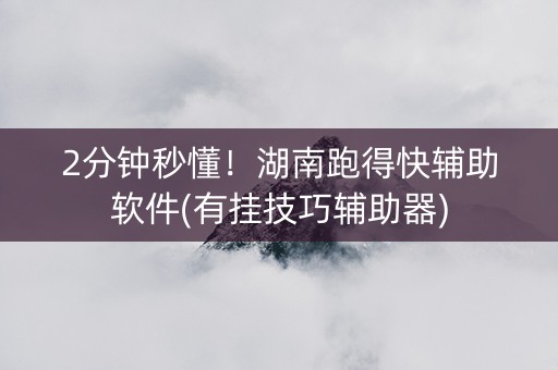 2分钟秒懂！湖南跑得快辅助软件(有挂技巧辅助器)