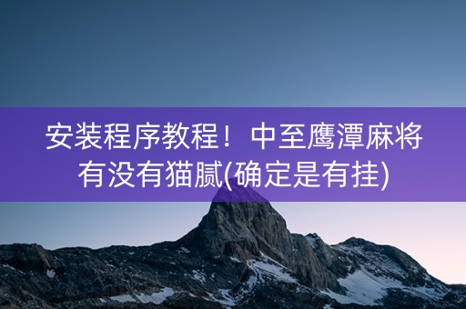 安装程序教程！中至鹰潭麻将有没有猫腻(确定是有挂)
