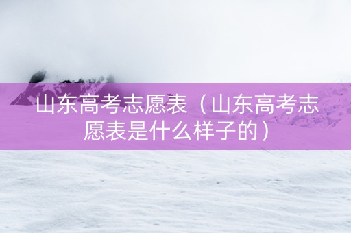 山东高考志愿表（山东高考志愿表是什么样子的）