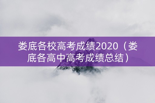 娄底各校高考成绩2020（娄底各高中高考成绩总结）
