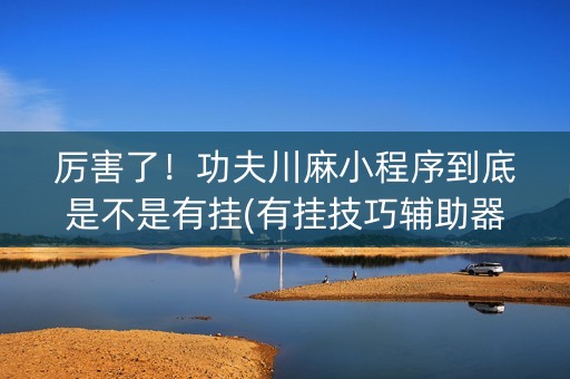 厉害了！功夫川麻小程序到底是不是有挂(有挂技巧辅助器)