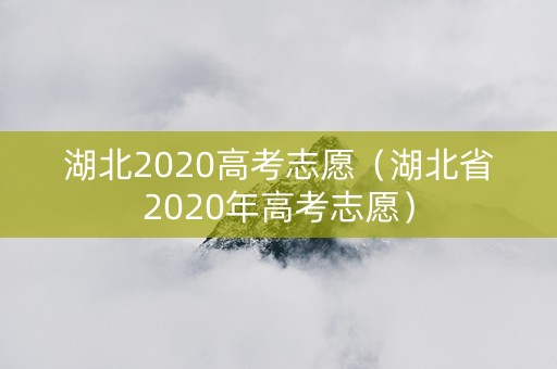 湖北2020高考志愿（湖北省2020年高考志愿）