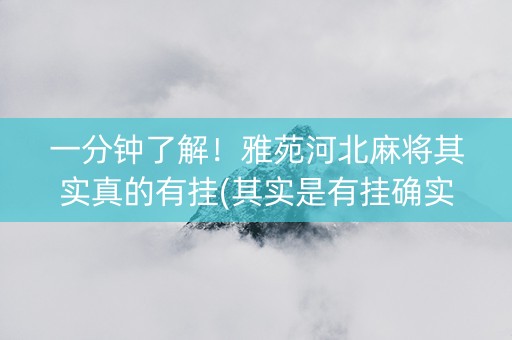 一分钟了解！雅苑河北麻将其实真的有挂(其实是有挂确实有挂)