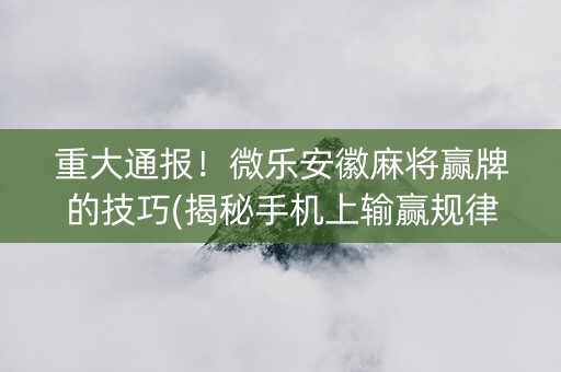 重大通报！微乐安徽麻将赢牌的技巧(揭秘手机上输赢规律)