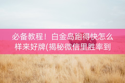 必备教程！白金岛跑得快怎么样来好牌(揭秘微信里胜率到哪调)