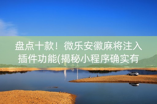 盘点十款！微乐安徽麻将注入插件功能(揭秘小程序确实有猫腻)