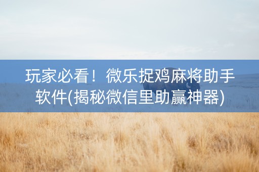 玩家必看！微乐捉鸡麻将助手软件(揭秘微信里助赢神器)