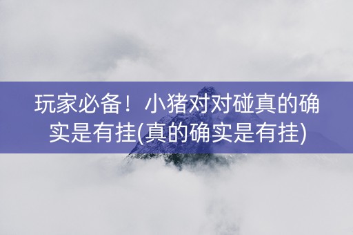 玩家必备！小猪对对碰真的确实是有挂(真的确实是有挂)