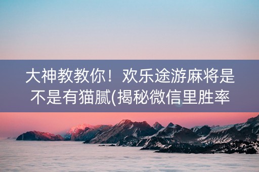大神教教你！欢乐途游麻将是不是有猫腻(揭秘微信里胜率到哪调)