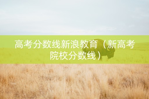 高考分数线新浪教育（新高考院校分数线）