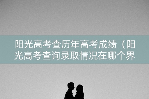 阳光高考查历年高考成绩（阳光高考查询录取情况在哪个界面）