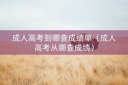 成人高考到哪查成绩单（成人高考从哪查成绩）