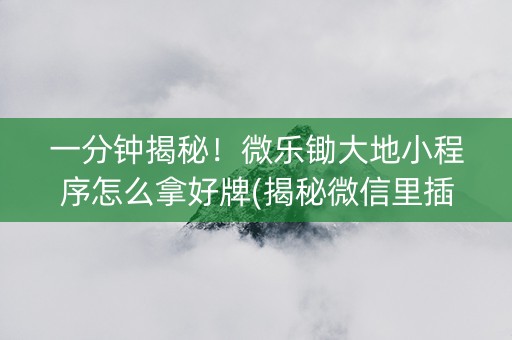 一分钟揭秘！微乐锄大地小程序怎么拿好牌(揭秘微信里插件免费)