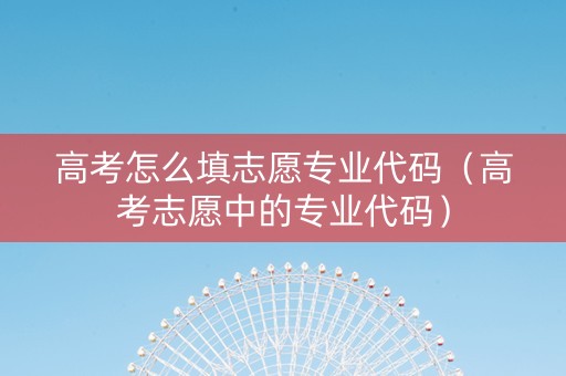 高考怎么填志愿专业代码（高考志愿中的专业代码）