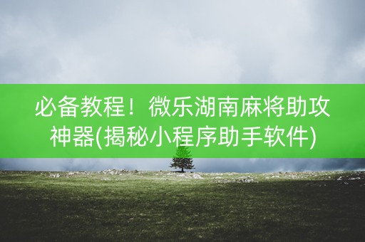 必备教程！微乐湖南麻将助攻神器(揭秘小程序助手软件)