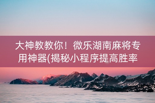 大神教教你！微乐湖南麻将专用神器(揭秘小程序提高胜率)