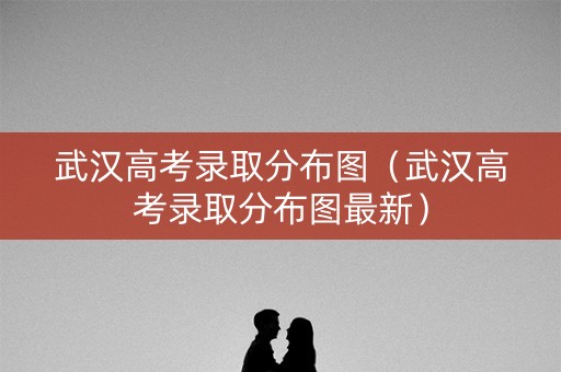 武汉高考录取分布图（武汉高考录取分布图最新）