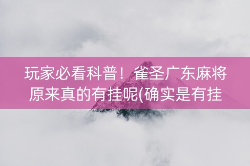 玩家必看科普！雀圣广东麻将原来真的有挂呢(确实是有挂)
