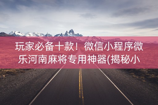 玩家必备十款！微信小程序微乐河南麻将专用神器(揭秘小程序助赢神器购买)